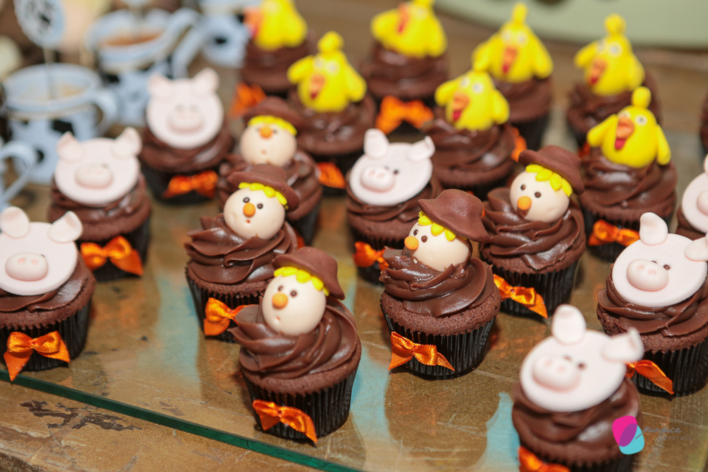 aniversario infantil, aniversario de menino, festa infantil, aniversario de crianca, festa de menino, fotografoa de festas, fotografo infantil, fotografia de  aniversario infantil, fotografo em cuiaba, fotografia cuiaba, fazendinha cocorico, tia hanna, po