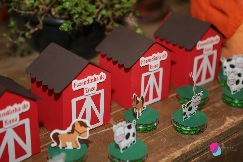 aniversario infantil, aniversario de menino, festa infantil, aniversario de crianca, festa de menino, fotografoa de festas, fotografo infantil, fotografia de  aniversario infantil, fotografo em cuiaba, fotografia cuiaba, fazendinha cocorico, tia hanna, po