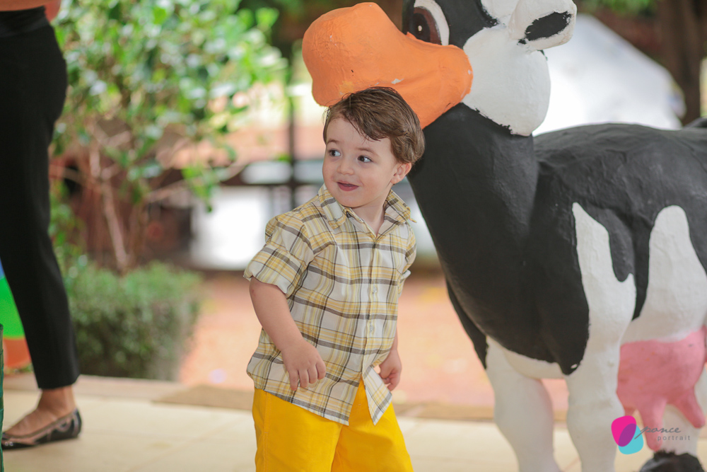 aniversario infantil, aniversario de menino, festa infantil, aniversario de crianca, festa de menino, fotografoa de festas, fotografo infantil, fotografia de  aniversario infantil, fotografo em cuiaba, fotografia cuiaba, fazendinha cocorico, tia hanna, po