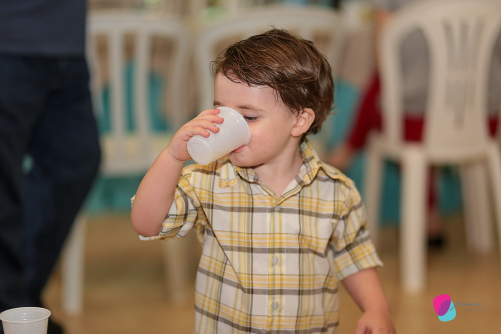 aniversario infantil, aniversario de menino, festa infantil, aniversario de crianca, festa de menino, fotografoa de festas, fotografo infantil, fotografia de  aniversario infantil, fotografo em cuiaba, fotografia cuiaba, fazendinha cocorico, tia hanna, po