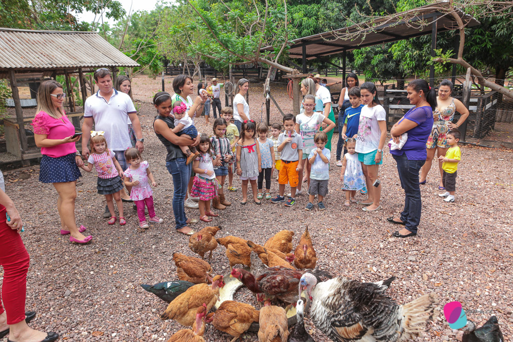 aniversario infantil, aniversario de menino, festa infantil, aniversario de crianca, festa de menino, fotografoa de festas, fotografo infantil, fotografia de  aniversario infantil, fotografo em cuiaba, fotografia cuiaba, fazendinha cocorico, tia hanna, po