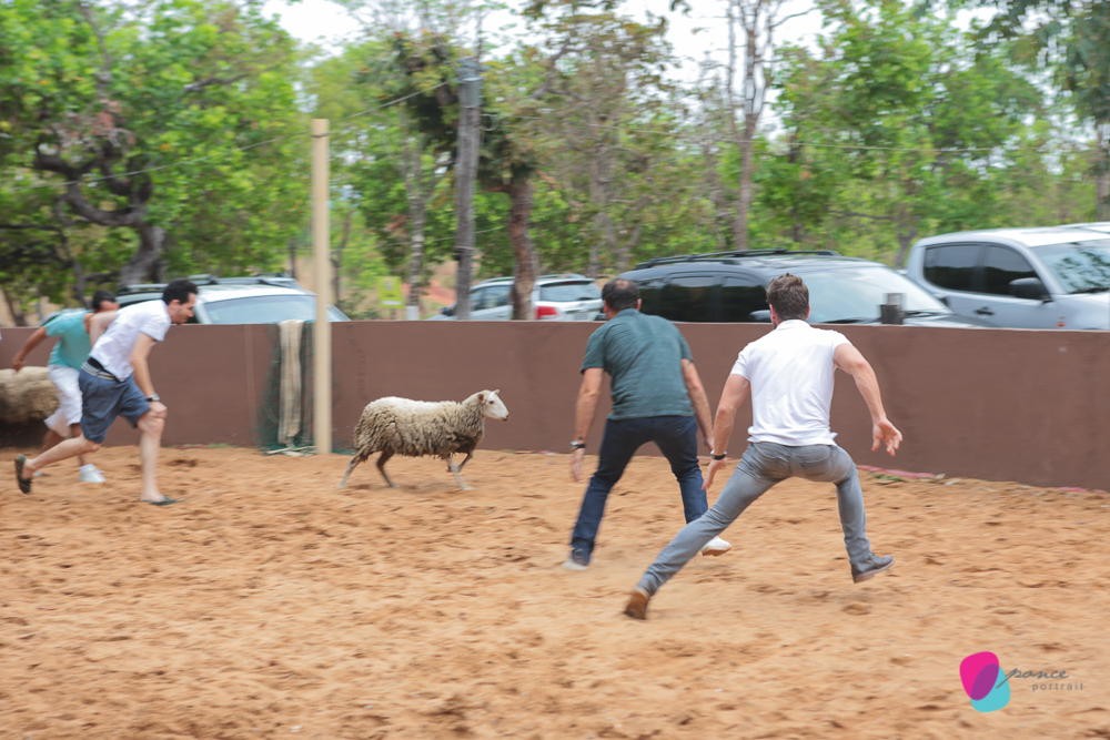 aniversario infantil, aniversario de menino, festa infantil, aniversario de crianca, festa de menino, fotografoa de festas, fotografo infantil, fotografia de  aniversario infantil, fotografo em cuiaba, fotografia cuiaba, fazendinha cocorico, tia hanna, po