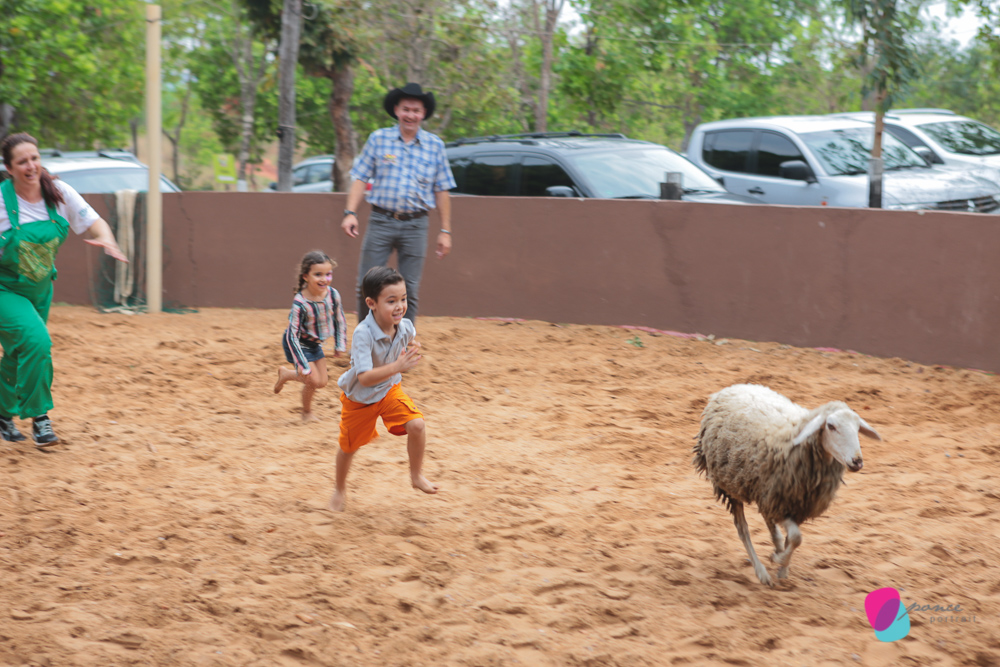 aniversario infantil, aniversario de menino, festa infantil, aniversario de crianca, festa de menino, fotografoa de festas, fotografo infantil, fotografia de  aniversario infantil, fotografo em cuiaba, fotografia cuiaba, fazendinha cocorico, tia hanna, po