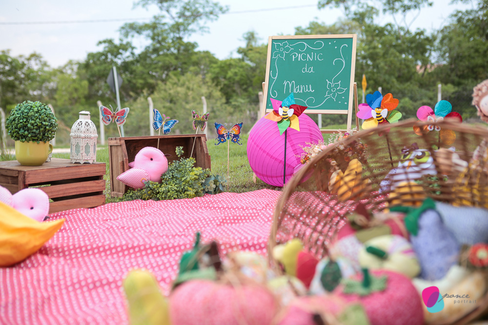 aniversario infantil, aniversario de menino, festa infantil, aniversario de crianca, festa de menino, fotografoa de festas, fotografo infantil, fotografia de  aniversario infantil, fotografo em cuiaba, fotografia cuiaba, fazendinha cocorico, tia hanna, po