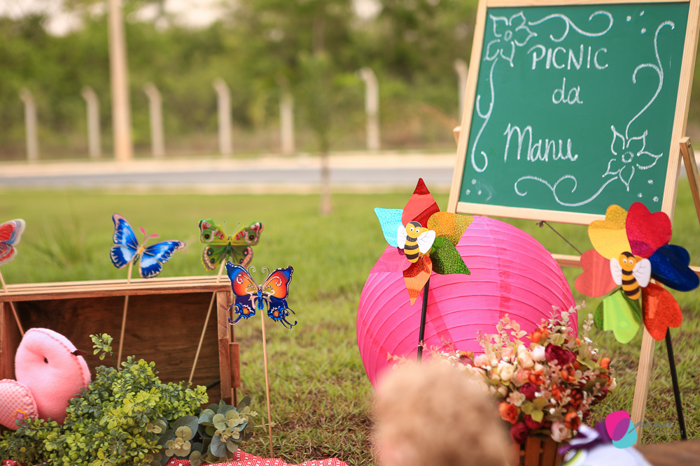 aniversario infantil, aniversario de menino, festa infantil, aniversario de crianca, festa de menino, fotografoa de festas, fotografo infantil, fotografia de  aniversario infantil, fotografo em cuiaba, fotografia cuiaba, fazendinha cocorico, tia hanna, po