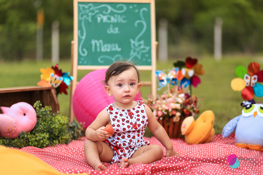 aniversario infantil, aniversario de menino, festa infantil, aniversario de crianca, festa de menino, fotografoa de festas, fotografo infantil, fotografia de  aniversario infantil, fotografo em cuiaba, fotografia cuiaba, fazendinha cocorico, tia hanna, po