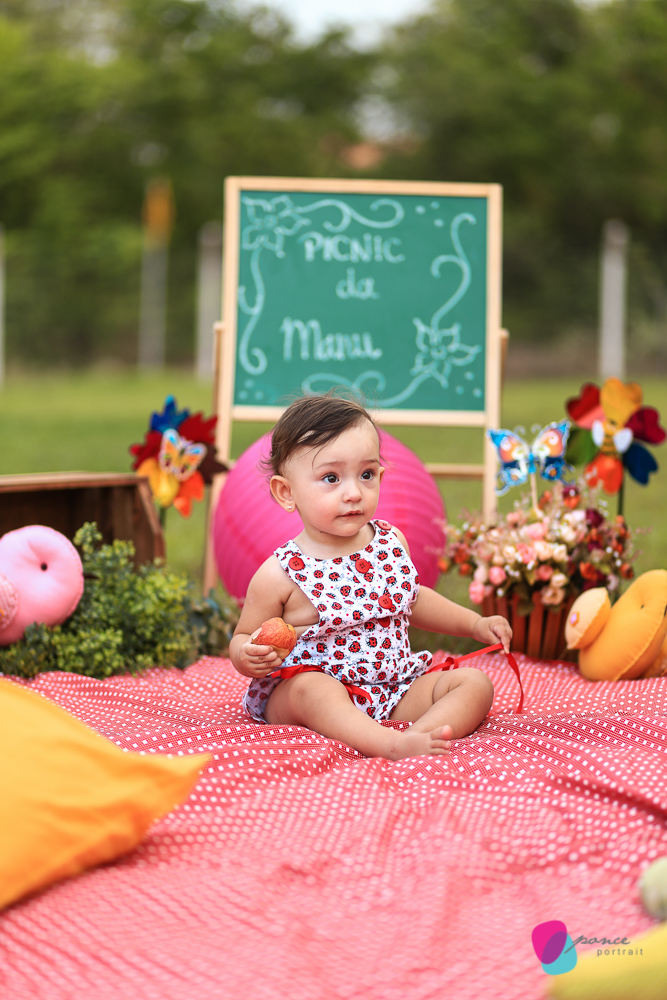 aniversario infantil, aniversario de menino, festa infantil, aniversario de crianca, festa de menino, fotografoa de festas, fotografo infantil, fotografia de  aniversario infantil, fotografo em cuiaba, fotografia cuiaba, fazendinha cocorico, tia hanna, po