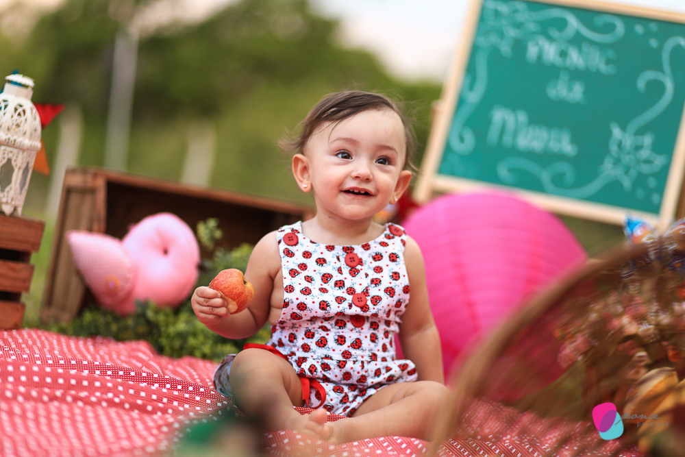 aniversario infantil, aniversario de menino, festa infantil, aniversario de crianca, festa de menino, fotografoa de festas, fotografo infantil, fotografia de  aniversario infantil, fotografo em cuiaba, fotografia cuiaba, fazendinha cocorico, tia hanna, po