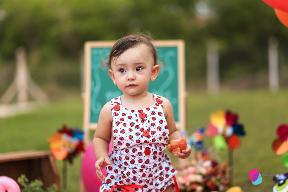 aniversario infantil, aniversario de menino, festa infantil, aniversario de crianca, festa de menino, fotografoa de festas, fotografo infantil, fotografia de  aniversario infantil, fotografo em cuiaba, fotografia cuiaba, fazendinha cocorico, tia hanna, po