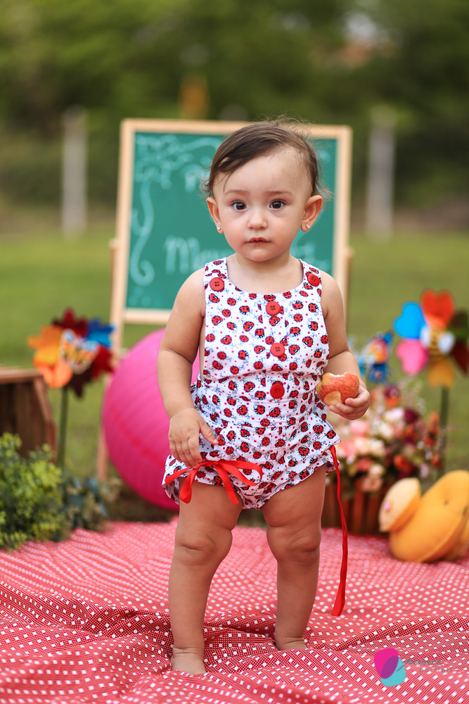 aniversario infantil, aniversario de menino, festa infantil, aniversario de crianca, festa de menino, fotografoa de festas, fotografo infantil, fotografia de  aniversario infantil, fotografo em cuiaba, fotografia cuiaba, fazendinha cocorico, tia hanna, po