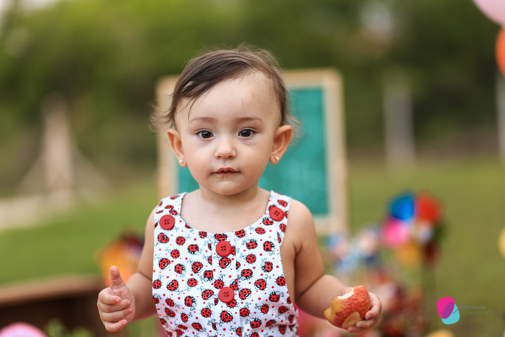 aniversario infantil, aniversario de menino, festa infantil, aniversario de crianca, festa de menino, fotografoa de festas, fotografo infantil, fotografia de  aniversario infantil, fotografo em cuiaba, fotografia cuiaba, fazendinha cocorico, tia hanna, po
