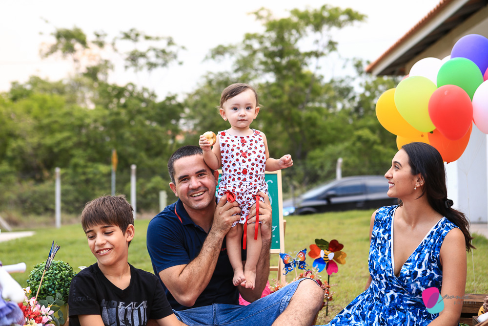 aniversario infantil, aniversario de menino, festa infantil, aniversario de crianca, festa de menino, fotografoa de festas, fotografo infantil, fotografia de  aniversario infantil, fotografo em cuiaba, fotografia cuiaba, fazendinha cocorico, tia hanna, po