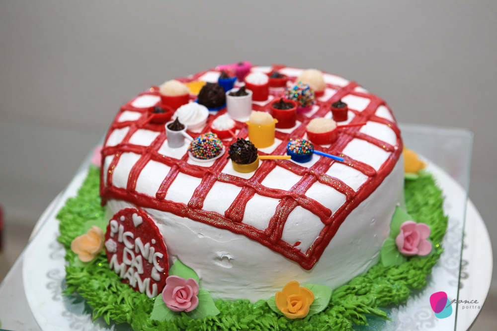 aniversario infantil, aniversario de menino, festa infantil, aniversario de crianca, festa de menino, fotografoa de festas, fotografo infantil, fotografia de  aniversario infantil, fotografo em cuiaba, fotografia cuiaba, fazendinha cocorico, tia hanna, po