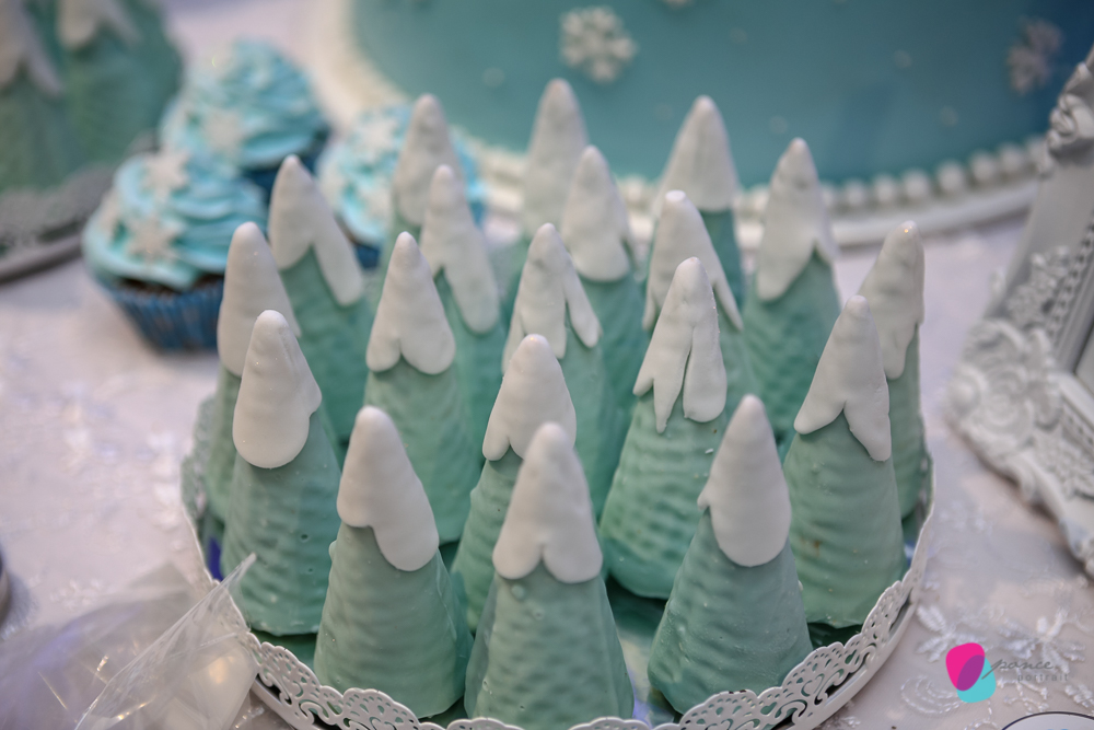 aniversario infantil, criancas, 2 anos, infantil, aniversario infantil, frozzen, cuiaba, fotografia cuiaba, mercearia kids, buffet leila, leila malouf, familia, photographer, fotografia de familia, retratos de familia, fotografia de festas, evento social,