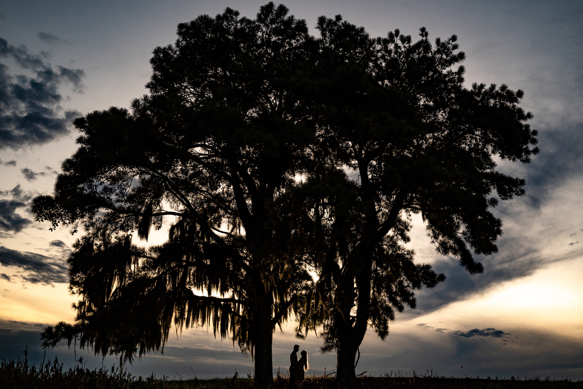 Recanto dos Papagaiso Pré-Wedding pré-casamento