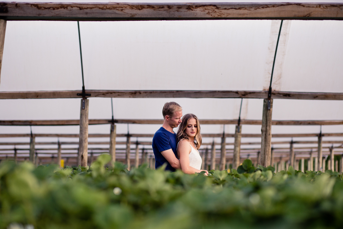 Ensaio Prudentópolis Mariele e Paulo