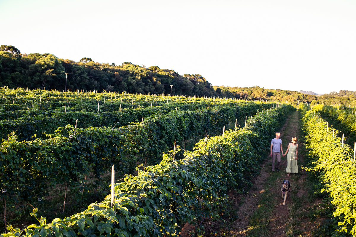 Ensaio Prudentópolis Mariele e Paulo