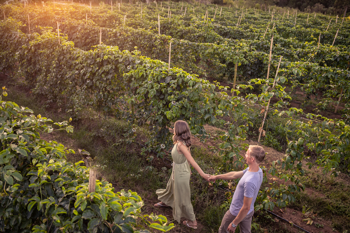 Ensaio Prudentópolis Mariele e Paulo