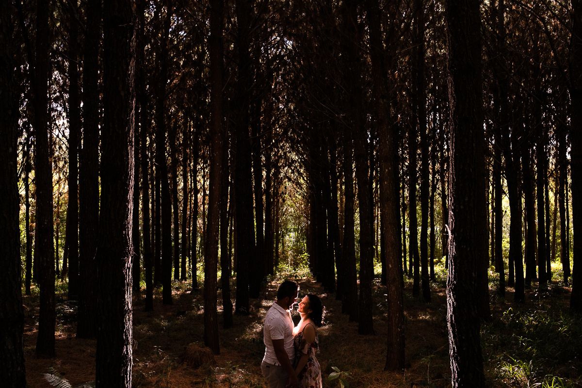 Ensaio Aline e Gian Prudentópolis Guarapuava Serra da Esperança