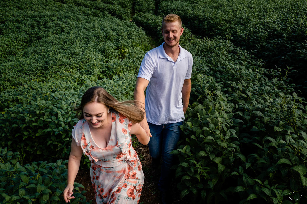 Fotos de casamento na soja