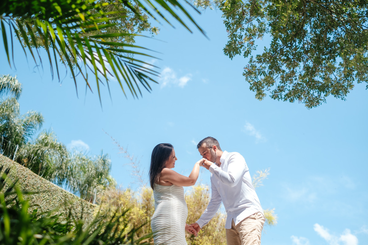 Noivo beija a mão da noiva estando eles na parte inferior da foto. emoldurados pelas árvores e com o céu azul de fundo