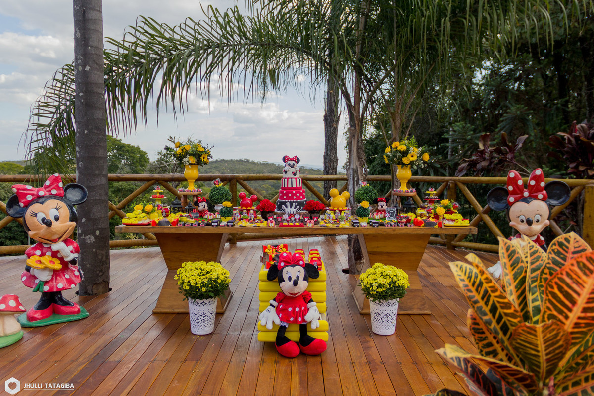 4 anos-Helena-minnie-partydecor-festa linda-perfeição-festa de menina-festa infantil-aniversário infantil-fotografa esmeraldas-fotografa bh-fotografia infantil-fotografa de família