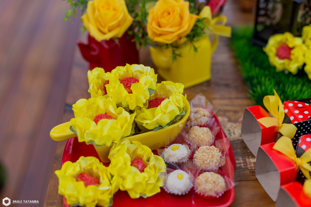 4 anos-Helena-minnie-partydecor-festa linda-perfeição-festa de menina-festa infantil-aniversário infantil-fotografa esmeraldas-fotografa bh-fotografia infantil-fotografa de família