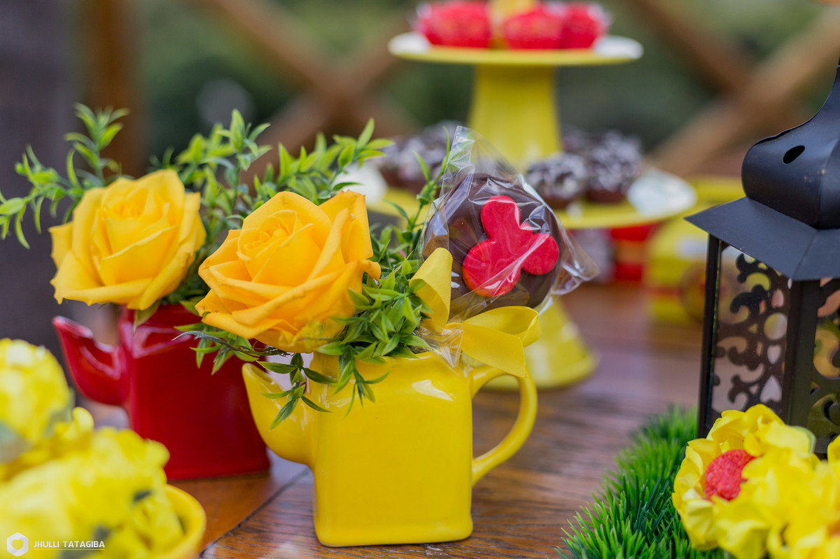 4 anos-Helena-minnie-partydecor-festa linda-perfeição-festa de menina-festa infantil-aniversário infantil-fotografa esmeraldas-fotografa bh-fotografia infantil-fotografa de família