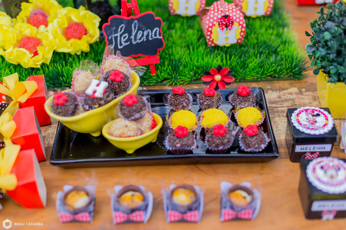 4 anos-Helena-minnie-partydecor-festa linda-perfeição-festa de menina-festa infantil-aniversário infantil-fotografa esmeraldas-fotografa bh-fotografia infantil-fotografa de família