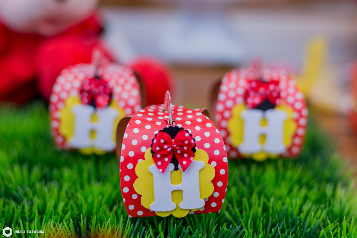 4 anos-Helena-minnie-partydecor-festa linda-perfeição-festa de menina-festa infantil-aniversário infantil-fotografa esmeraldas-fotografa bh-fotografia infantil-fotografa de família