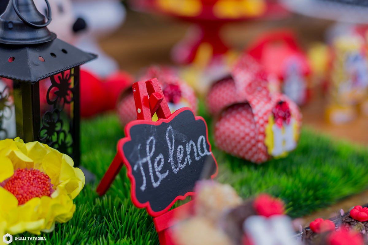 4 anos-Helena-minnie-partydecor-festa linda-perfeição-festa de menina-festa infantil-aniversário infantil-fotografa esmeraldas-fotografa bh-fotografia infantil-fotografa de família