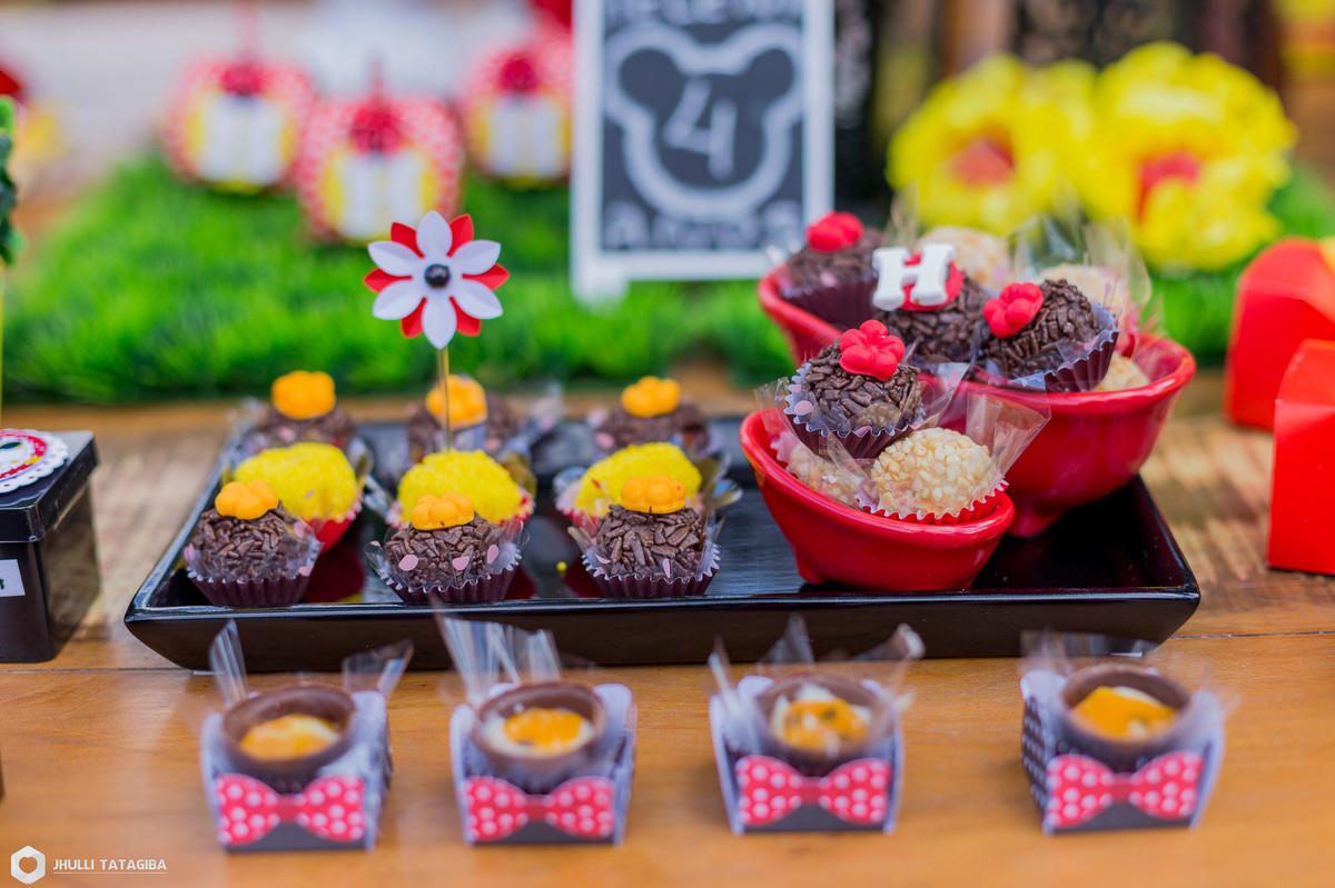 4 anos-Helena-minnie-partydecor-festa linda-perfeição-festa de menina-festa infantil-aniversário infantil-fotografa esmeraldas-fotografa bh-fotografia infantil-fotografa de família