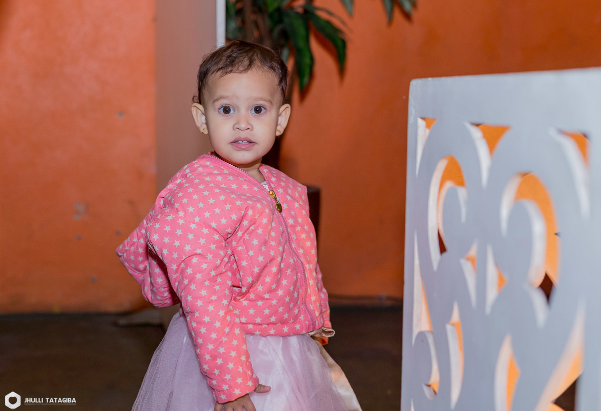 2 anos-manuella-festa infantil-bailarina-festa infantil bh-festa de menina-aniversário infantil-buffet infantil bh-fotografa infantil bh-fotografa bh-jhulli tatagiba fotografia