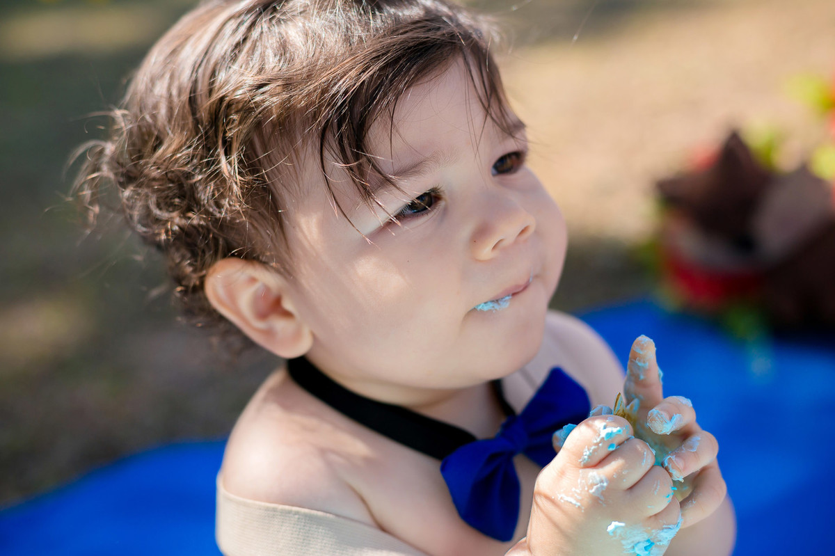 smashthecake-cakesmash-ensaioinfanti-ensaiomenino-ensaio1ano-festainfantil-festamenino-ensaioinfantilbh-fotografainfantilbh-fotograforibeiraodasneves-jhullitatagibafotografia-pequenoprincipe