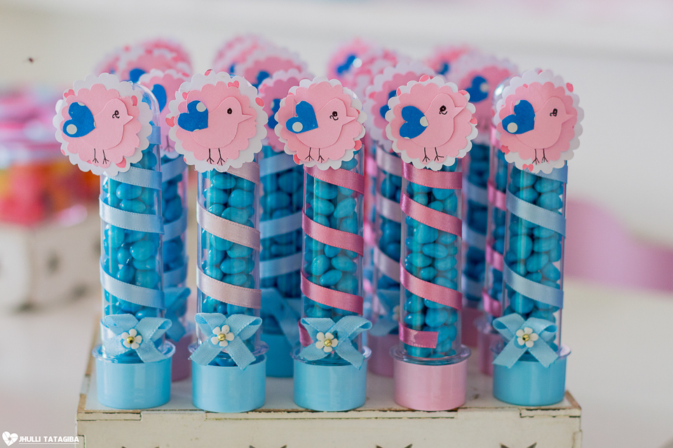 1 ano-caroline-festa-infantil-bh-ribeirão-das-neves-fotografa-infantil