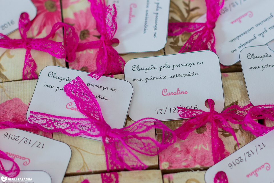 1 ano-caroline-festa-infantil-bh-ribeirão-das-neves-fotografa-infantil