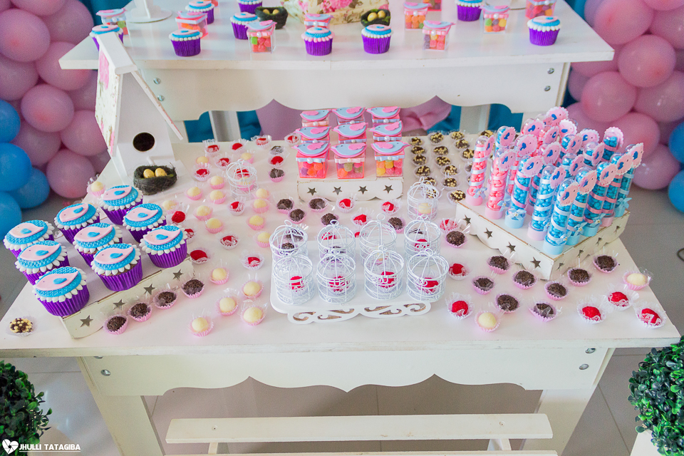 1 ano-caroline-festa-infantil-bh-ribeirão-das-neves-fotografa-infantil