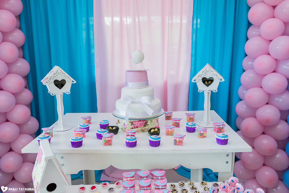 1 ano-caroline-festa-infantil-bh-ribeirão-das-neves-fotografa-infantil