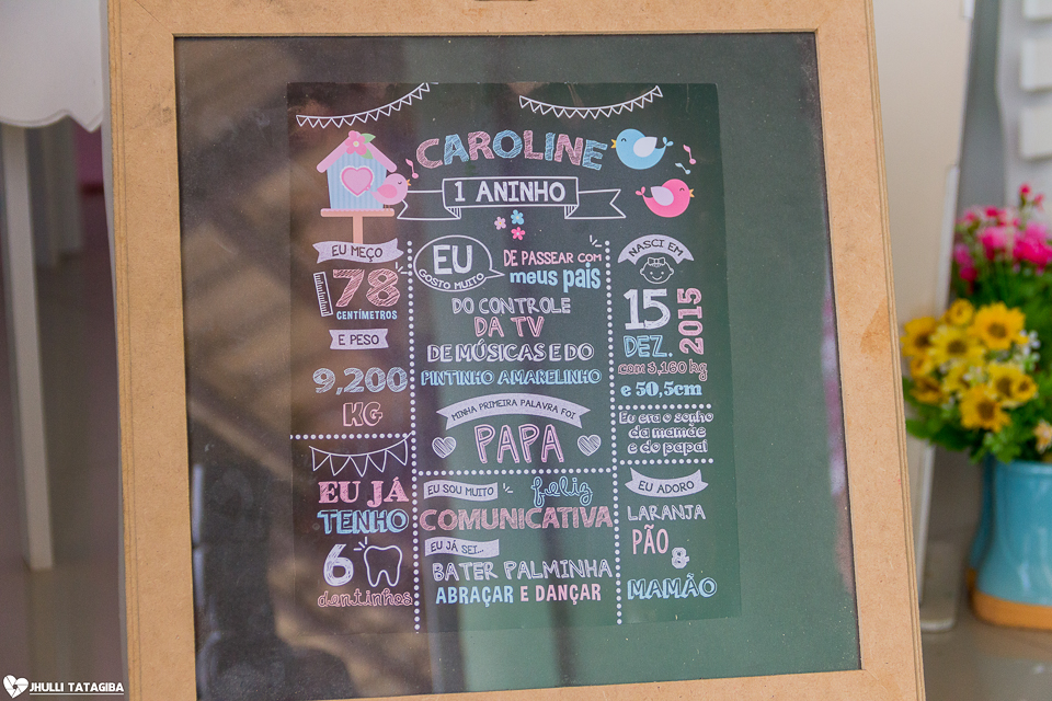 1 ano-caroline-festa-infantil-bh-ribeirão-das-neves-fotografa-infantil