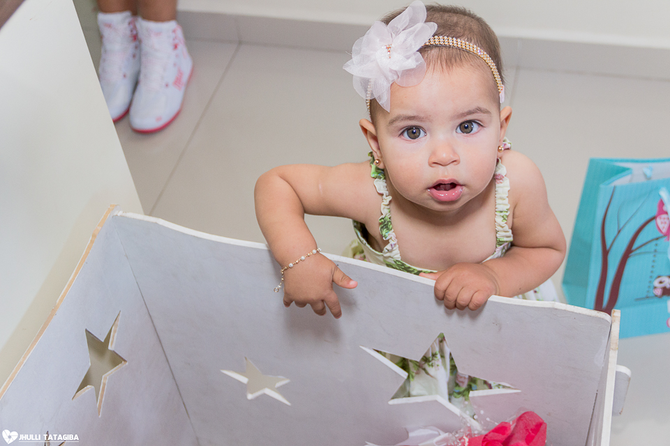 1 ano-caroline-festa-infantil-bh-ribeirão-das-neves-fotografa-infantil