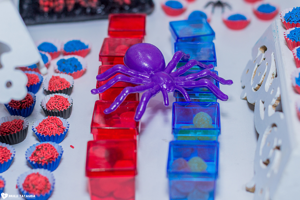 davi-4-anos-aniversário-infantil-festa-bh-ribeirão-das-neves-Jhulli-tatagiba-fotografia