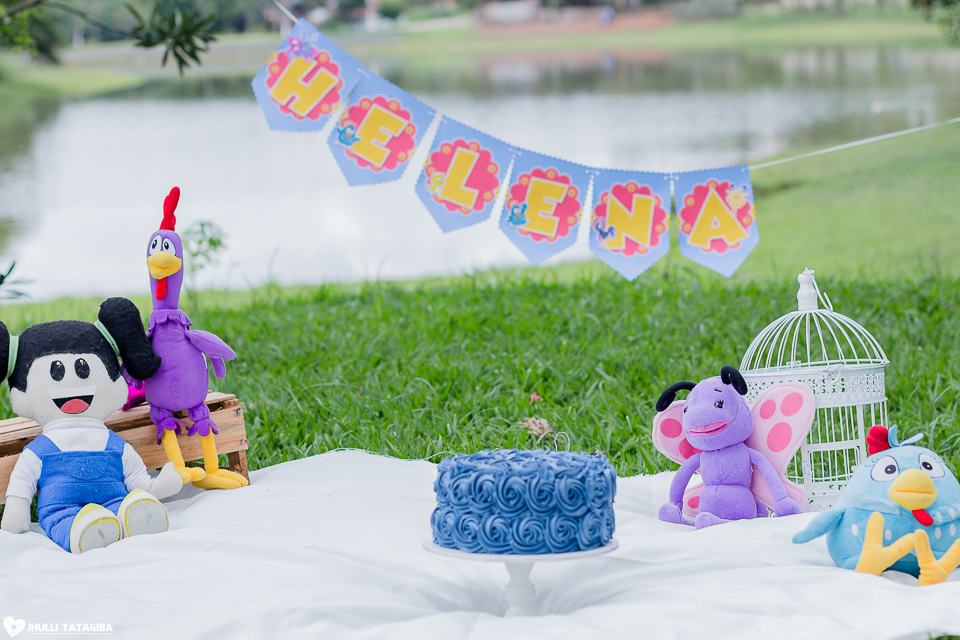 smash-the-cake-helena-galinha-pintadinha-fotografa-infantil-bh-ribeirão-das-neves-jhulli-tatagiba-fotografia