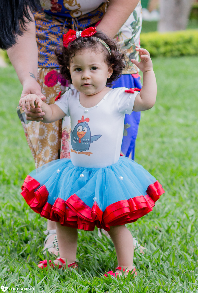 smash-the-cake-helena-galinha-pintadinha-fotografa-infantil-bh-ribeirão-das-neves-jhulli-tatagiba-fotografia