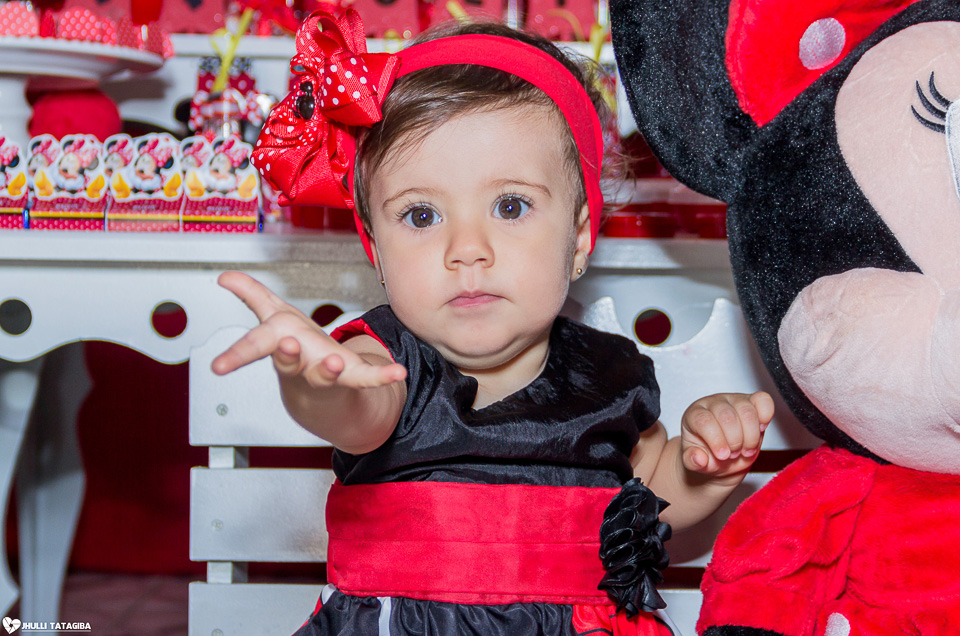 festa infantil -minnie -ribeirão das neves- belo horizonte-fotografa infantil