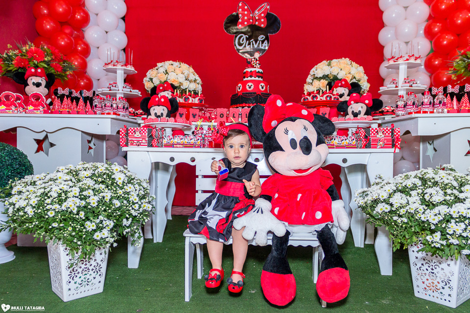 festa infantil -minnie -ribeirão das neves- belo horizonte-fotografa infantil