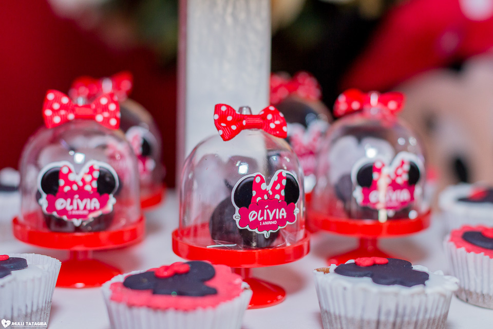 festa infantil -minnie -ribeirão das neves- belo horizonte-fotografa infantil