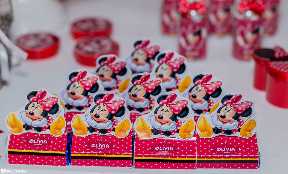 festa infantil -minnie -ribeirão das neves- belo horizonte-fotografa infantil