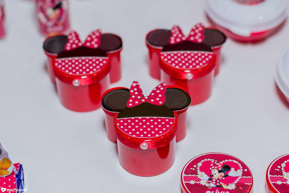 festa infantil -minnie -ribeirão das neves- belo horizonte-fotografa infantil