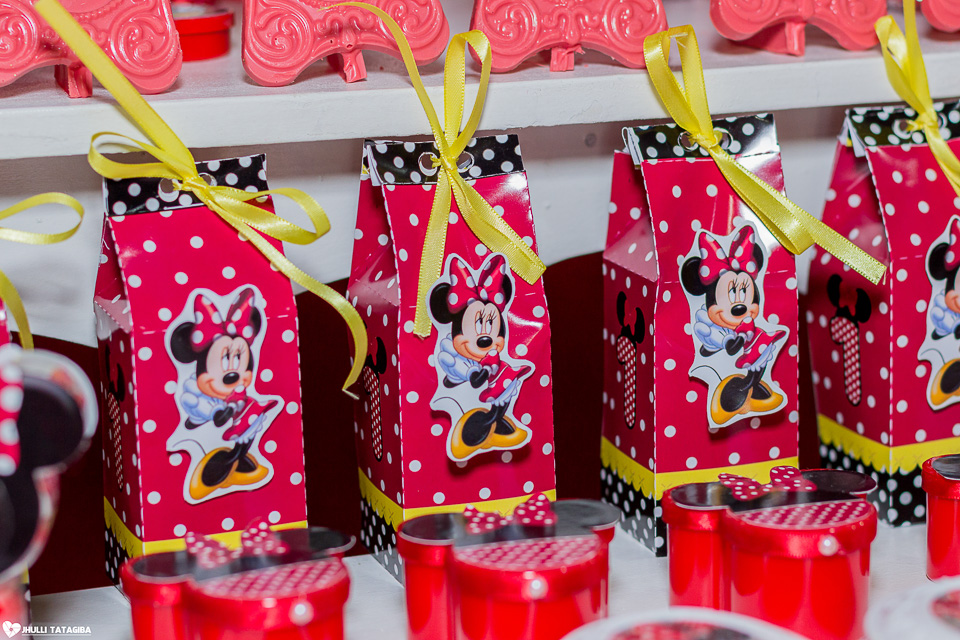 festa infantil -minnie -ribeirão das neves- belo horizonte-fotografa infantil