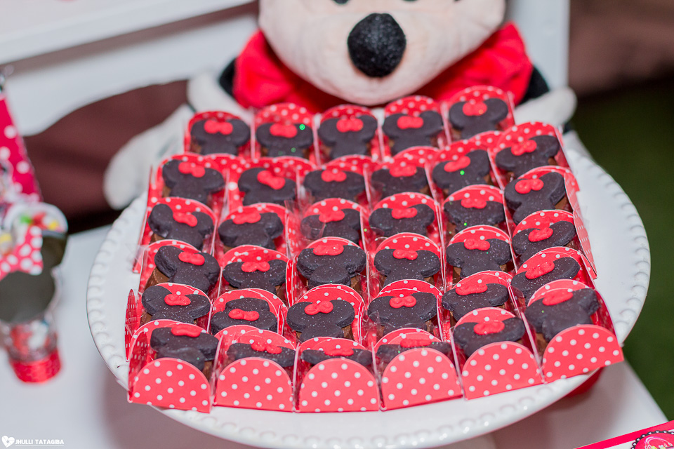 festa infantil -minnie -ribeirão das neves- belo horizonte-fotografa infantil